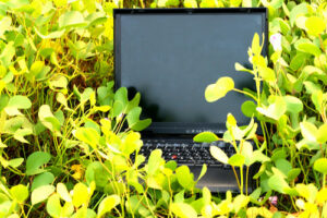 Laptop placed amidst plants - Britannica ImageQuest