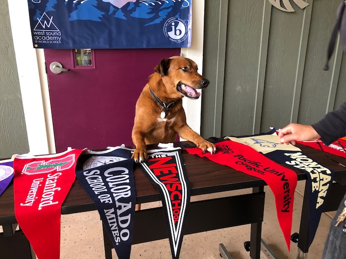 Aida helps out with College Declaration Day