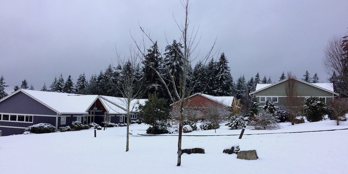 Snow-covered WSA campus - February 7, 2017 Snow-covered WSA campus - February 7, 2017