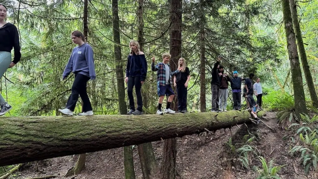 June Term 2024 log crossing