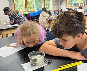 Two young students closely examining a specimen in a jar during a hands-on classroom lesson